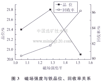 磁场强度与铁品位、回收率关系