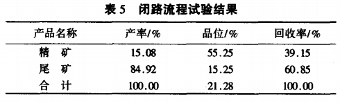 闭路流程试验结果