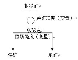 磁选工艺