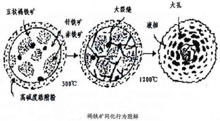 褐铁矿同化行为图解