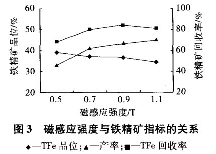 磁感应强度与铁精矿指标的关系